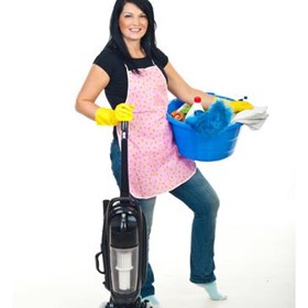 Cleaners Ledsham: Domestic cleaning